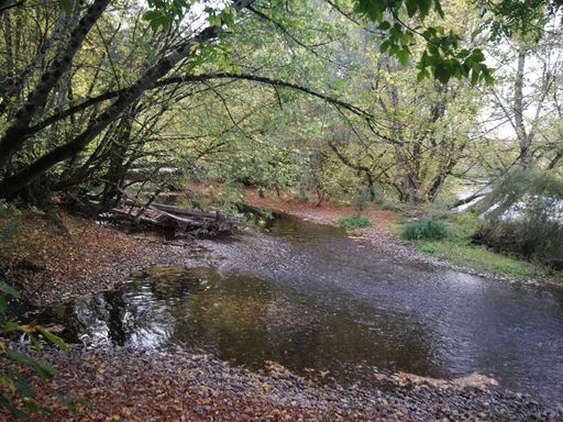 Gîte avec piscine intérieure en Périgord